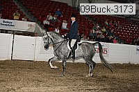 09buck-3173 proof