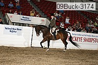 09buck-3174 proof