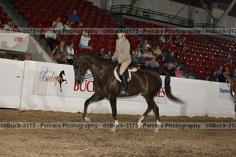 Proof 09buck-3175
