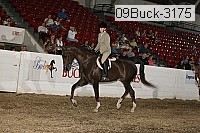 09buck-3175 proof
