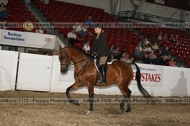 Proof 09buck-3176