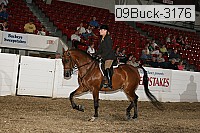 09buck-3176 proof