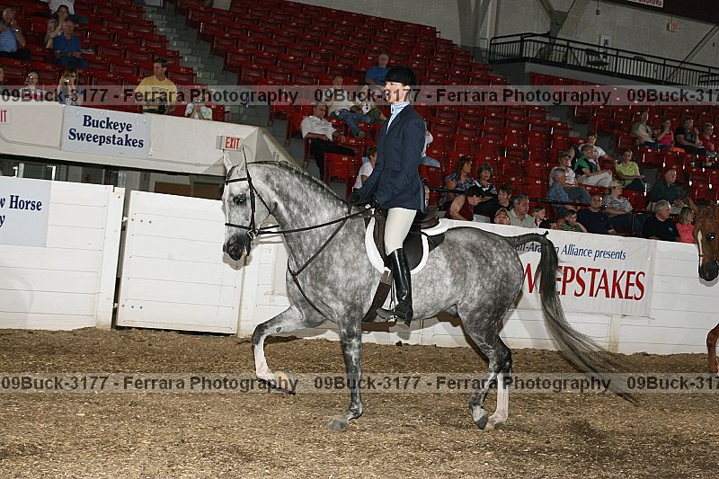 Proof 09buck-3177