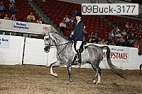 09buck-3177 proof