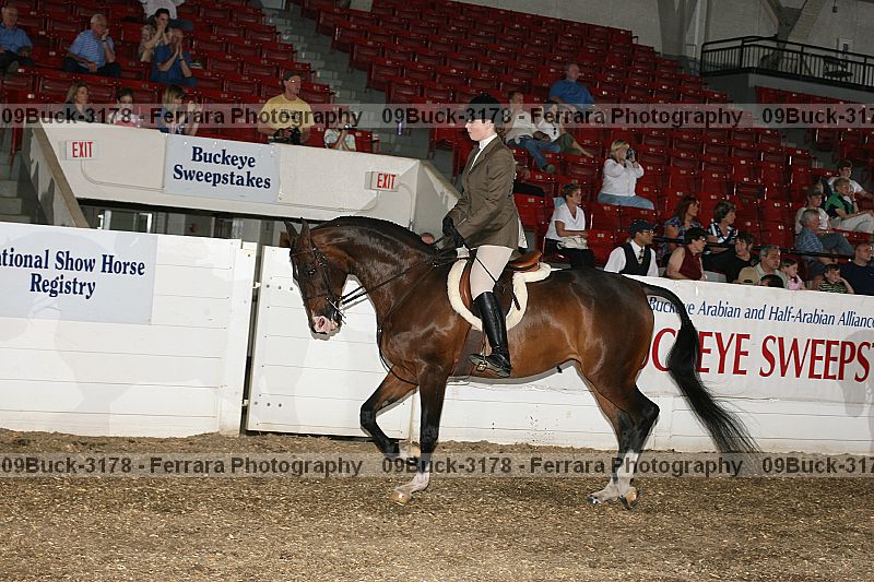 Proof 09buck-3178