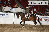 09buck-3178 proof