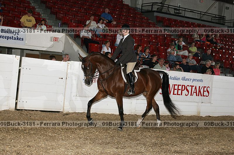 Proof 09buck-3181