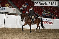 09buck-3181 proof