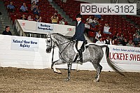 09buck-3182 proof