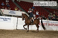 09buck-3183 proof