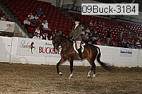 09buck-3184 proof
