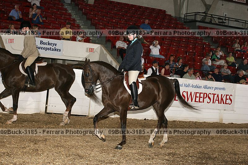 Proof 09buck-3185