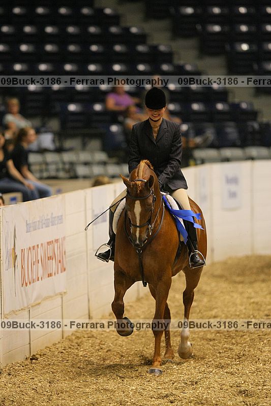 Proof 09buck-3186