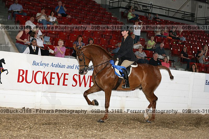Proof 09buck-3188