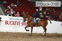 09buck-3188 proof