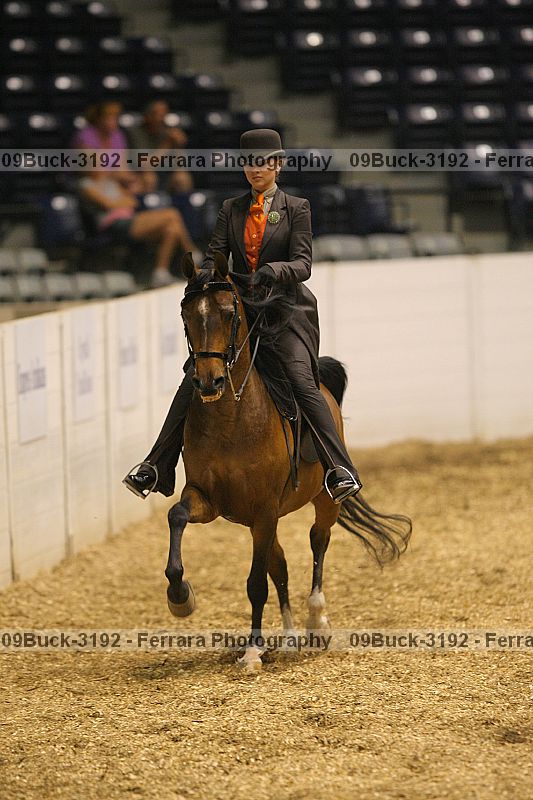 Proof 09buck-3192