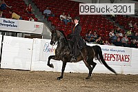 09buck-3201 proof