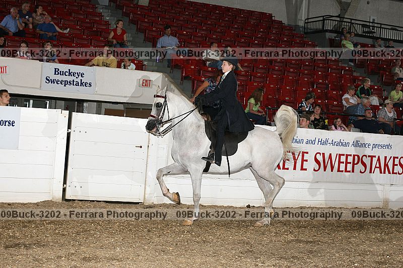 Proof 09buck-3202
