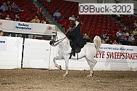 09buck-3202 proof