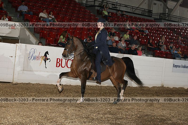 Proof 09buck-3203
