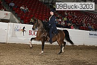 09buck-3203 proof