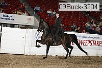 09buck-3204 proof