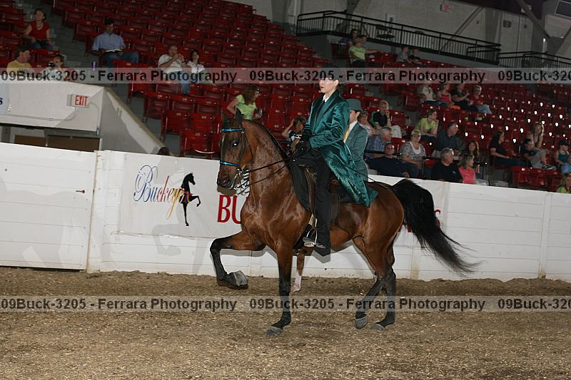 Proof 09buck-3205
