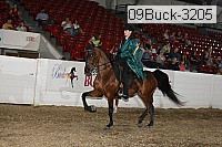 09buck-3205 proof