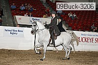 09buck-3206 proof