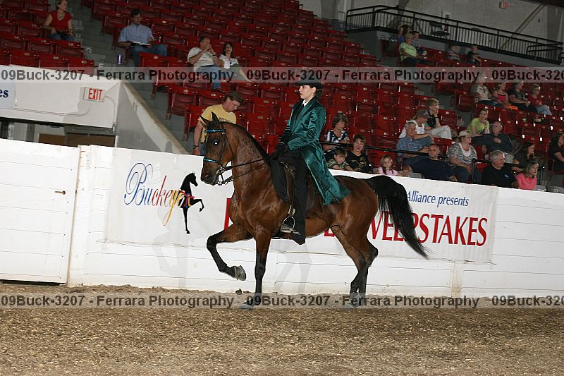 Proof 09buck-3207