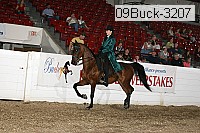 09buck-3207 proof