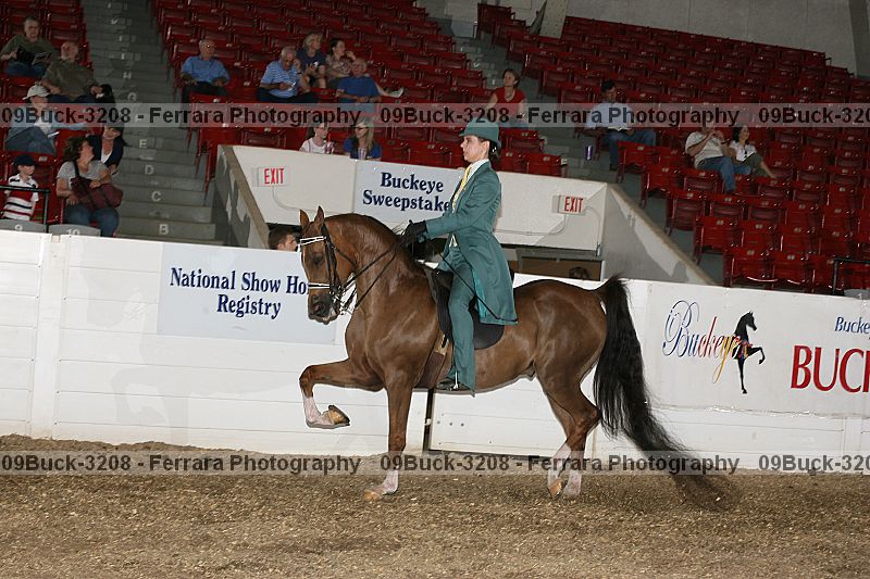 Proof 09buck-3208