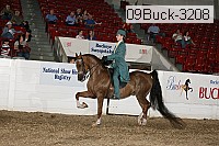 09buck-3208 proof