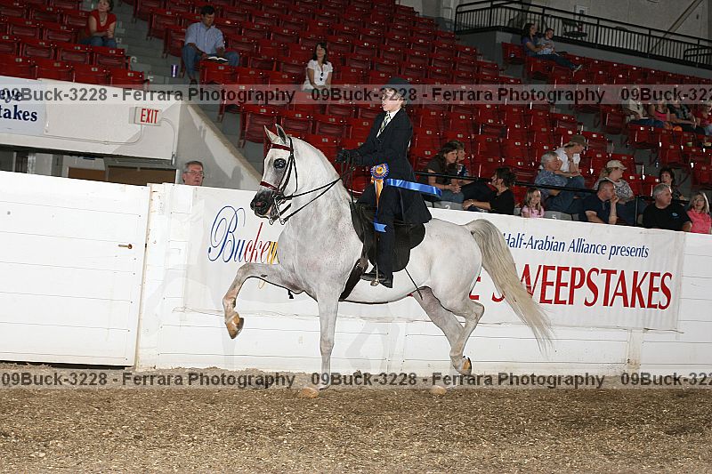Proof 09buck-3228