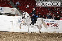 09buck-3228 proof