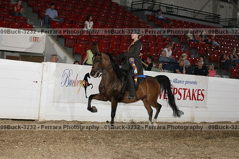 Proof 09buck-3232