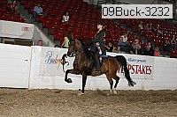 09buck-3232 proof