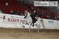 09buck-3238 proof