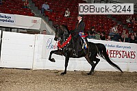 09buck-3244 proof