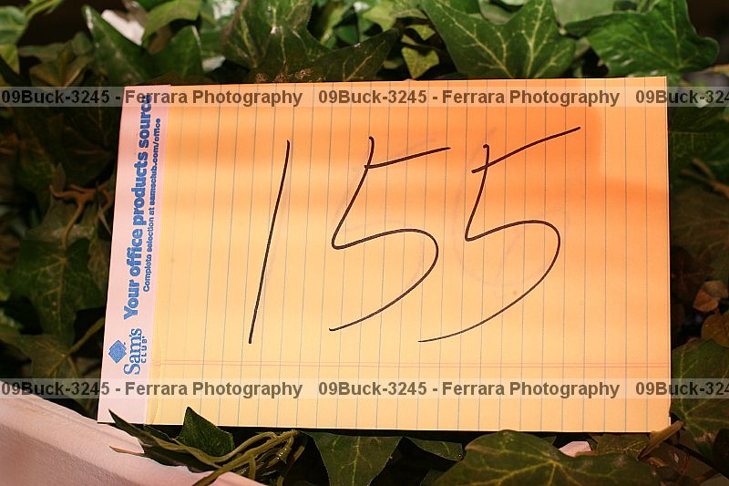 Proof 09buck-3245