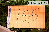 09buck-3245 proof