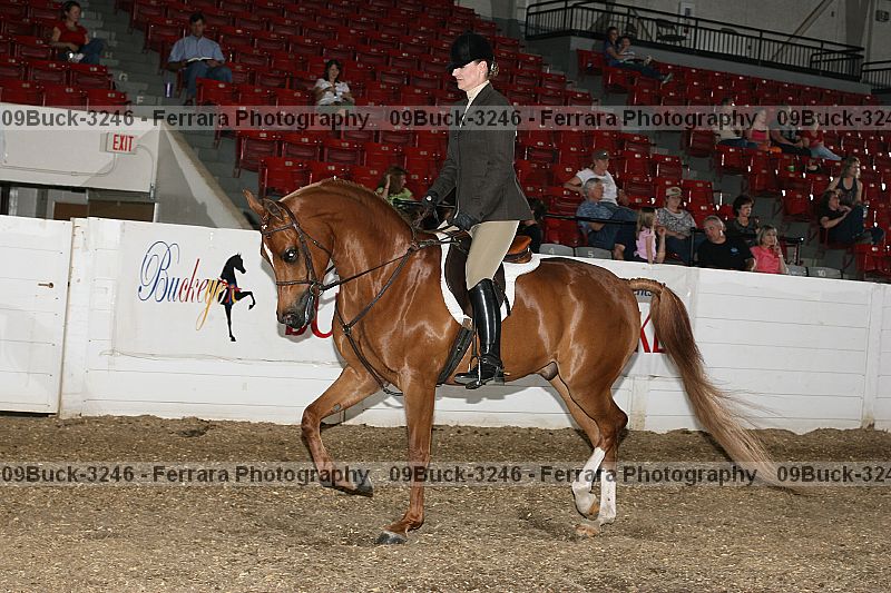 Proof 09buck-3246