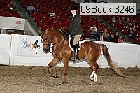 09buck-3246 proof