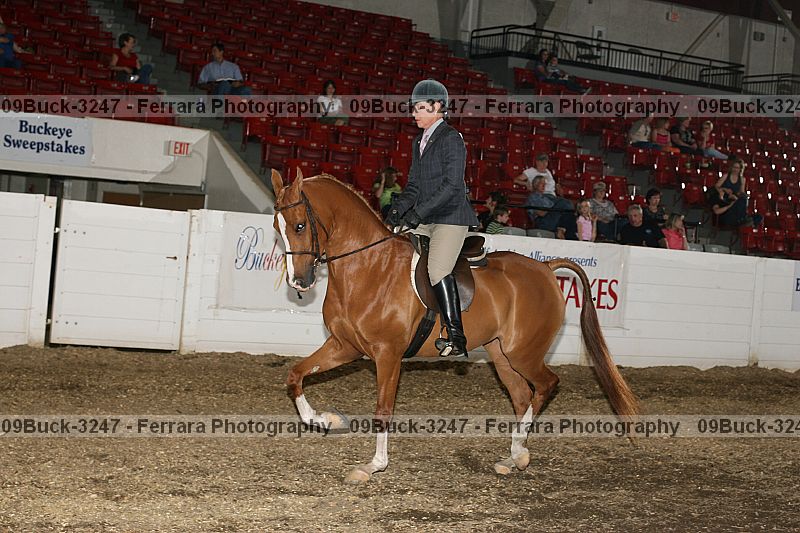 Proof 09buck-3247