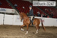 09buck-3247 proof