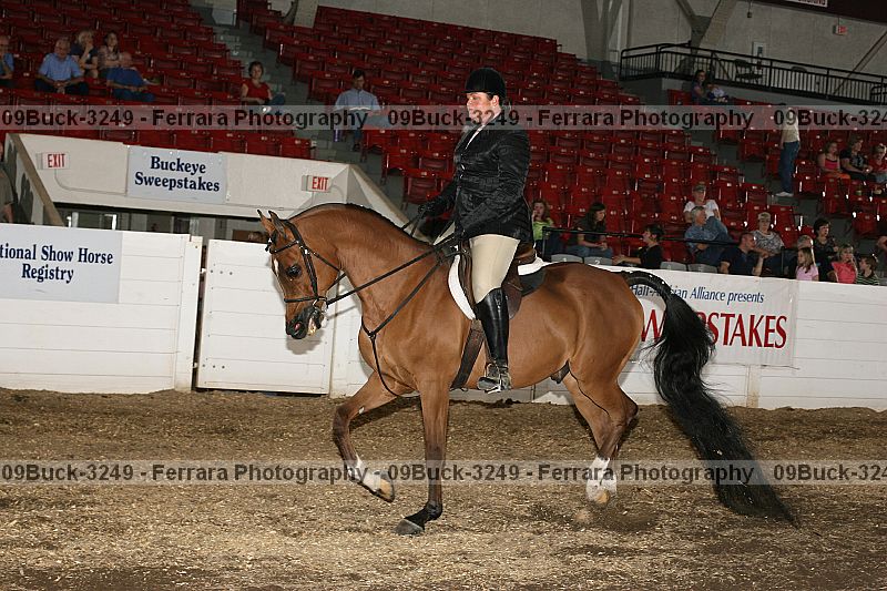 Proof 09buck-3249