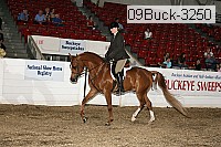 09buck-3250 proof