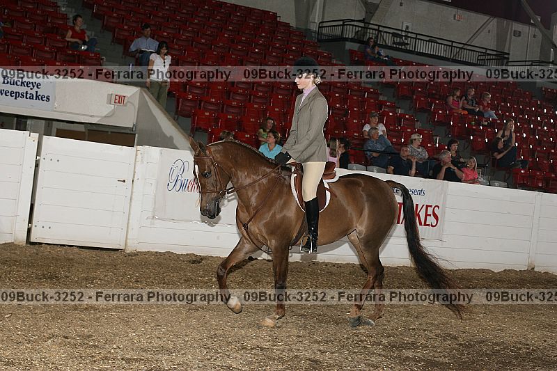 Proof 09buck-3252