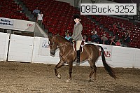 09buck-3252 proof