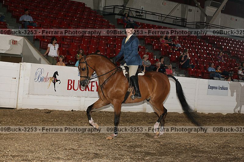 Proof 09buck-3253